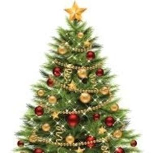 Meet your Posher, Claudia